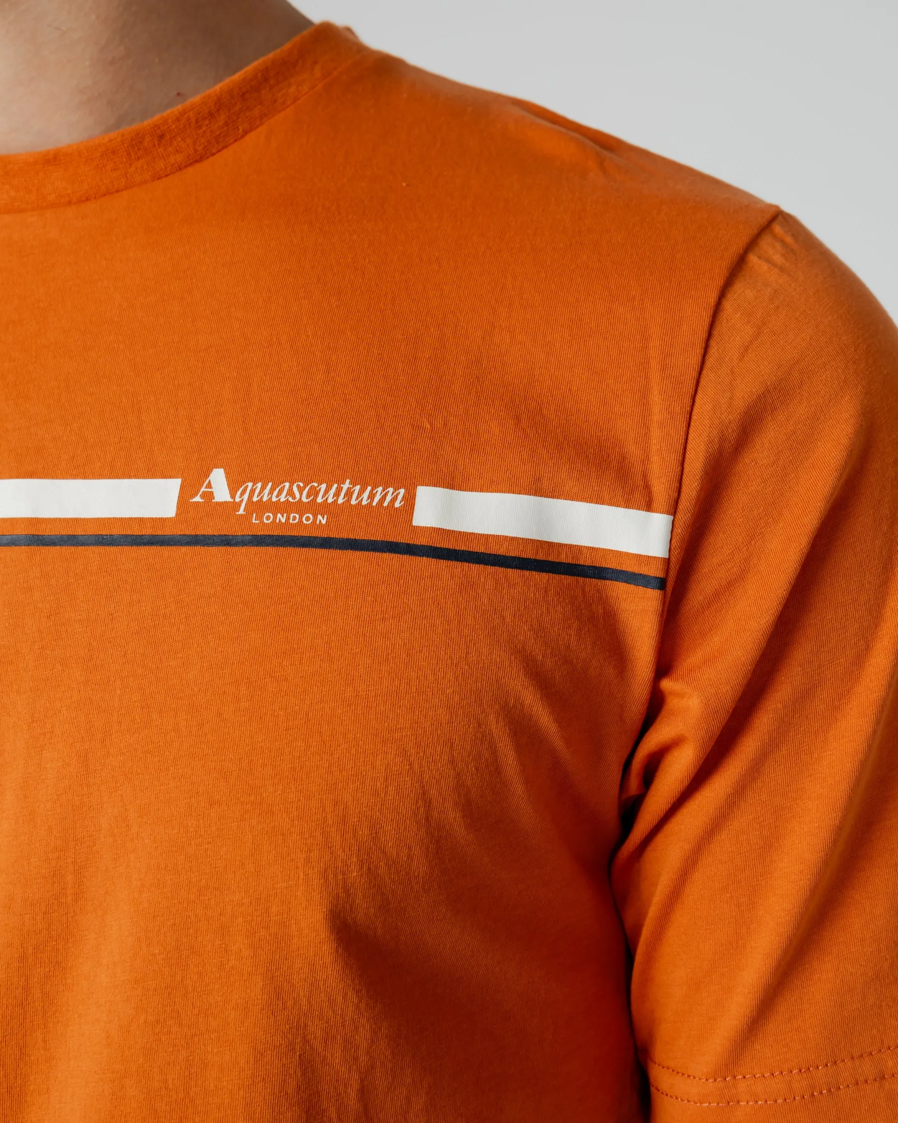 Clearance Aquascutum Active Active Stripes